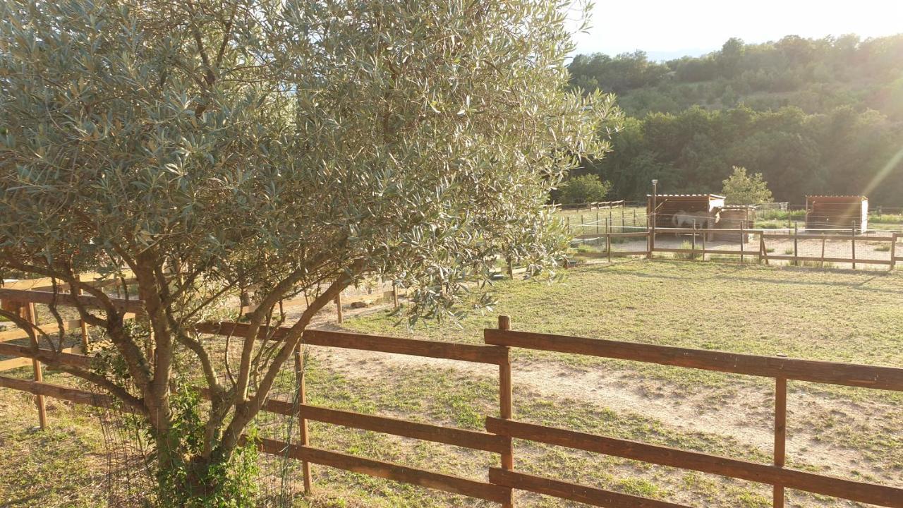 Chambre D'Hotes Le Petit Ranch Los Masos Exterior photo