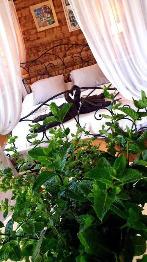 Chambre D'Hotes Le Petit Ranch Los Masos Exterior photo